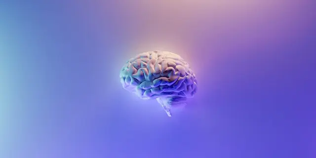 testing future tech: Brain imaging study