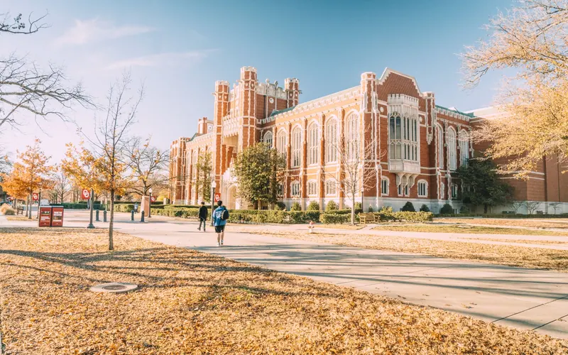 Higher Education